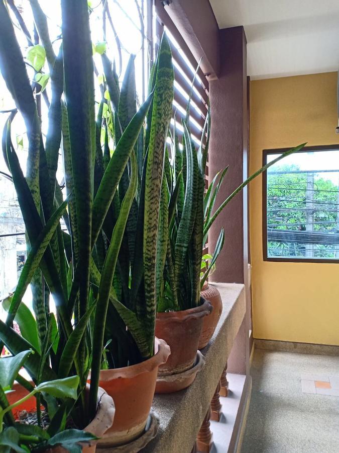 Kookkai House Hostel Patong Екстериор снимка