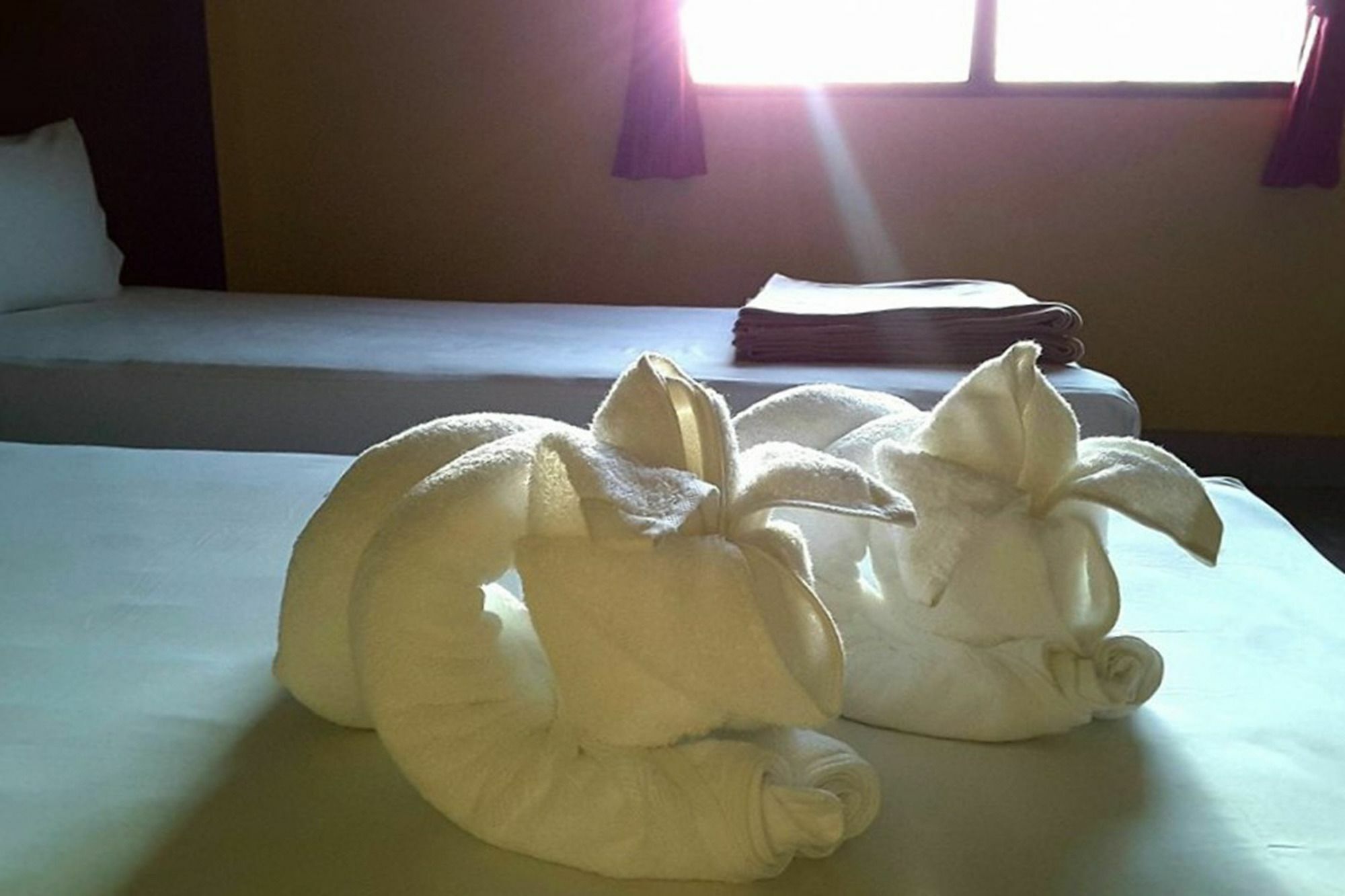 Kookkai House Hostel Patong Екстериор снимка